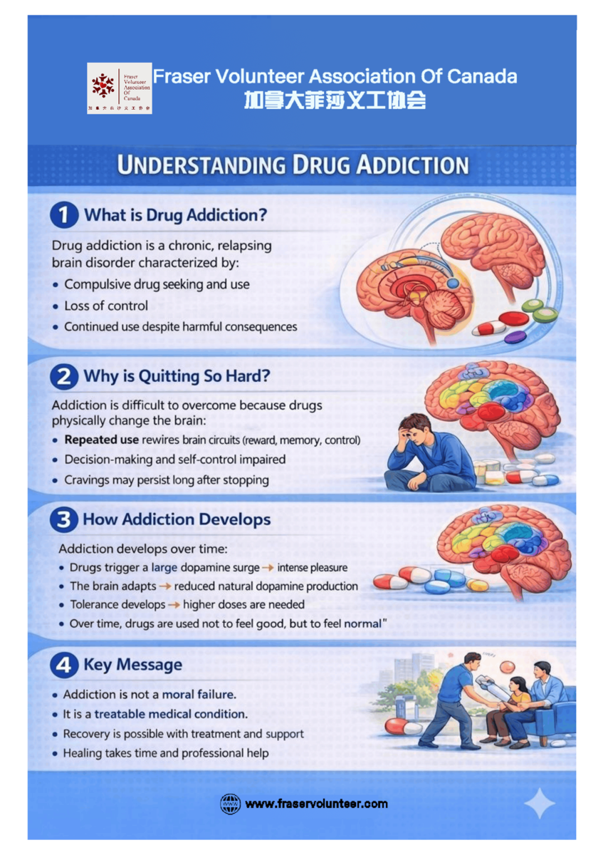 Understanding Drug Addiction guide cover